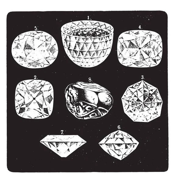Algunos Diamantes Famosos Ilustración Grabada Vintage Vie Dans Nature 1890 — Archivo Imágenes Vectoriales