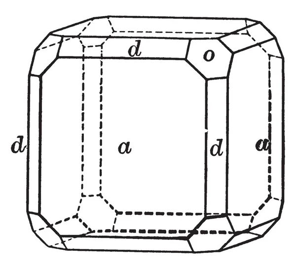 Diyagram Küp Octahedron Dodecahedron Vintage Çizgi Çizme Veya Oyma Illüstrasyon — Stok Vektör