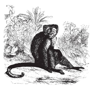 Weeper var bir tanıdık henüz göze batmayan merak, vintage çizgi çizme veya oyma illüstrasyon.