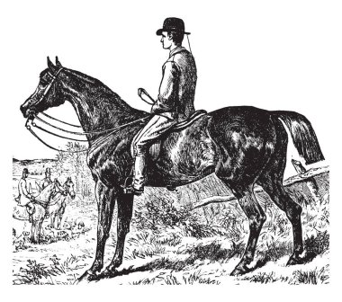 Bu görüntüde bir ışık avcılık at binici ile. Bir şapka, vintage çizgi çizme veya oyma illüstrasyon giyim bir adam olduğunu.