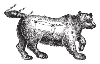 Büyük ayı ya da büyük ayı ya da büyük kepçe gökcismi, vintage çizgi çizme veya oyma illüstrasyon.