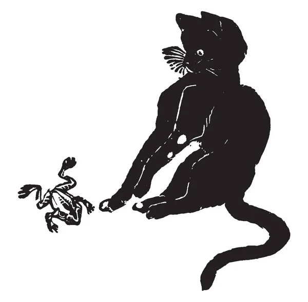 Кот Играет Лягушкой Рисунок Винтажной Линии Гравировка Иллюстрации — стоковый вектор