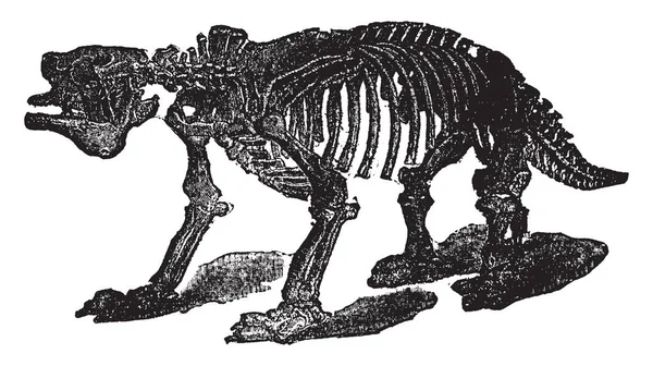 Megatherium Genere Edentati Estinti Fondato Uno Scheletro Quasi Completo Scoperto — Vettoriale Stock