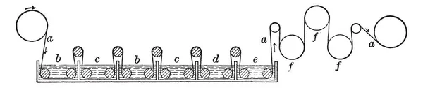 Representasi Diagrammatik Dari Pemutihan Gambar Garis Vintage Atau Ilustrasi Engraving - Stok Vektor