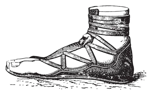 Chaussure Grecque Illustration Gravée Vintage — Image vectorielle