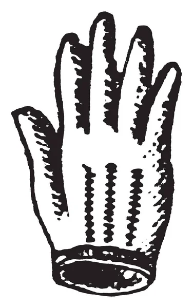 Handschuh Für Die Hand Vintage Linienzeichnung Oder Gravierillustration — Stockvektor