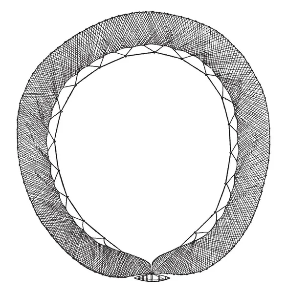 钱包塞纳河是一个圆网 用来捕捉鱼 复古线条画或雕刻插图 — 图库矢量图片