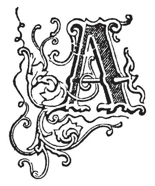 Uma Letra Maiúscula Ornamental Desenho Linha Vintage Gravura Ilustração —  Vetores de Stock