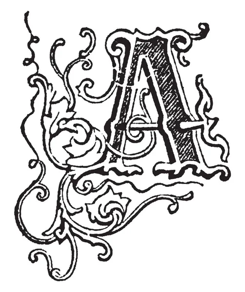 Een Decoratieve Hoofdletter Vintage Lijntekening Gravure Illustratie — Stockvector