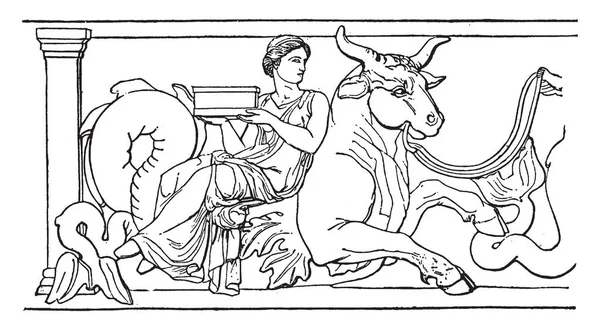 Eine Zeichnung Einer Dame Die Auf Einem Stier Sitzt Stellt — Stockvektor