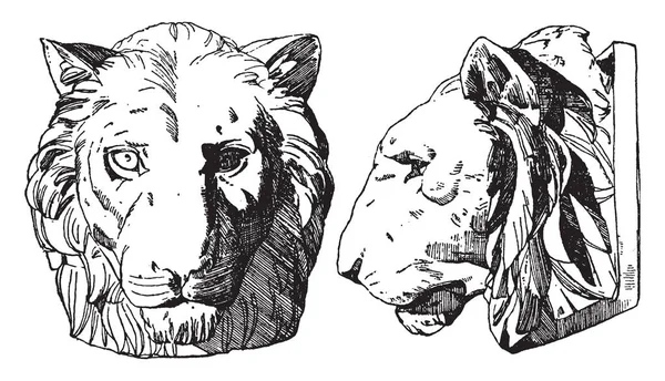 Голова Тигра Показана Спереди Сбоку Рисунок Винтажной Линии Гравировка — стоковый вектор