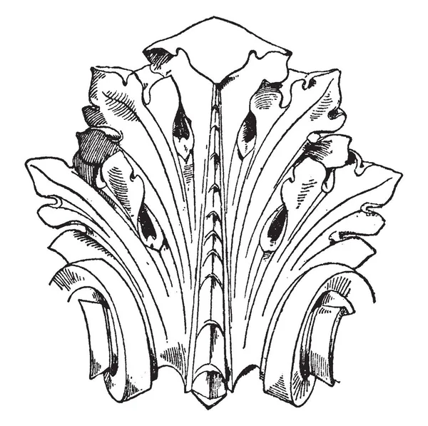 Modern Leaf Design Found Monte Carlo Vintage Line Drawing Engraving — Stock Vector