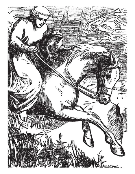 马什王的女儿 这一幕展示了一个骑着青蛙骑着马 复古线条画或雕刻插图的人 — 图库矢量图片