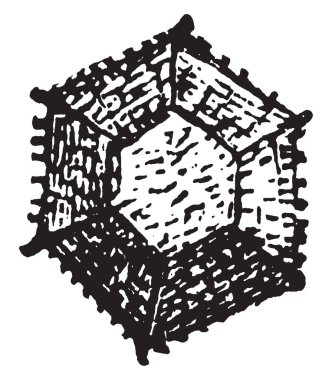 Altıköşe şeklindeki polen ve bitkiler, vintage çizgi çizme veya oyma illüstrasyon bir Succory vardır.