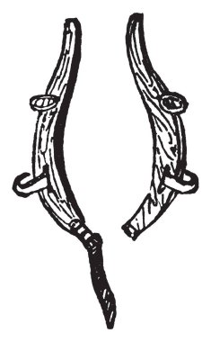 Bu resimde olduğu Hames izlerini temsil eder ve bir at koşum vücut yaka, vintage çizgi çizme veya oyma illüstrasyon bağlıdır.