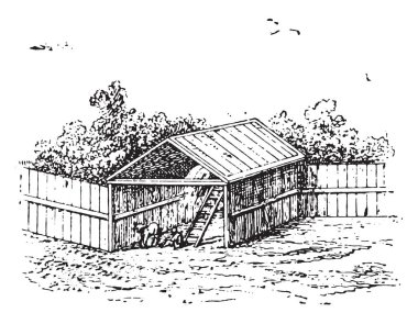 At ahır, vintage illüstrasyon kazınmış.