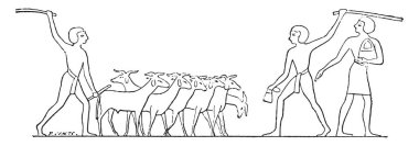 Trodden, dünya vintage oyulmuş illüstrasyon