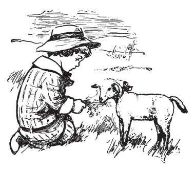 Çocuk ve koyun, koyun, vintage çizgi çizme veya oyma illüstrasyon için besleme bir çocuk bu sahne gösterir