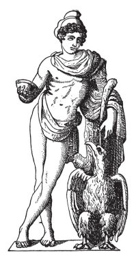 Bu resimde gösterilen bir Ganymede kartal ile tutun bir kase, vintage çizgi çizme veya oyma illüstrasyon.