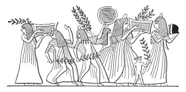 Yeşil twigs, vintage illüstrasyon kazınmış.