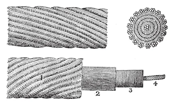 Tento Obrázek Představuje Funkci Původních Atlantic Cable Vintage Kreslení Čar — Stockový vektor