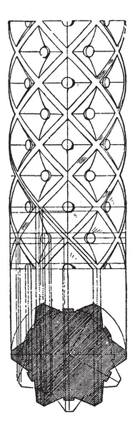 Arbre Décoré Roman Géométrique Réseaux Ornementé Dessin Ligne Vintage Gravure — Image vectorielle