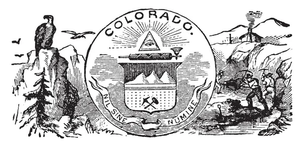 Selo Oficial Estado Colorado Este Selo Tem Águia Careca Sentado —  Vetores de Stock
