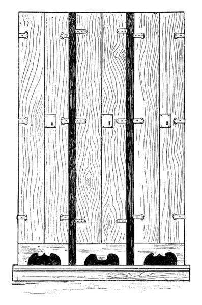 Гербарій Каталог Сушених Маркованих Рослинних Зразків Малювання Вінтажної Лінії Або — стоковий вектор