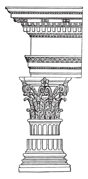 Corinthian Pillar Greek Pillar Capitals Decorated Acanthus Leaves Scrolls Vintage — Stock Vector