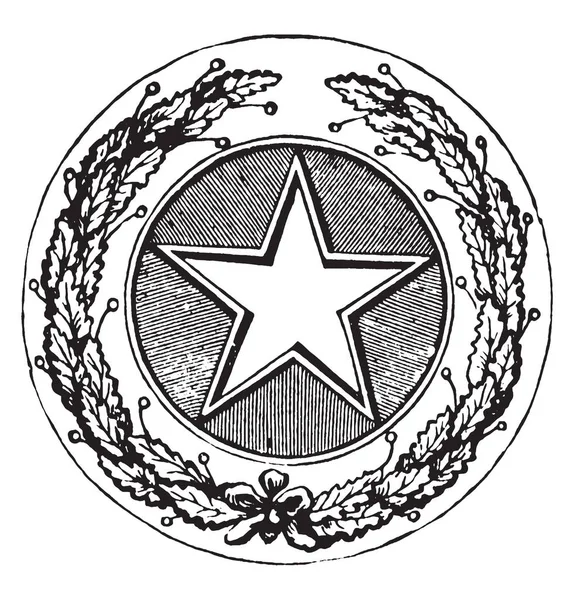 德州的封印 1904年 这个圆形封印的中心有五个点的星星 一颗星星被树枝包围 复古线画或雕刻插图 — 图库矢量图片