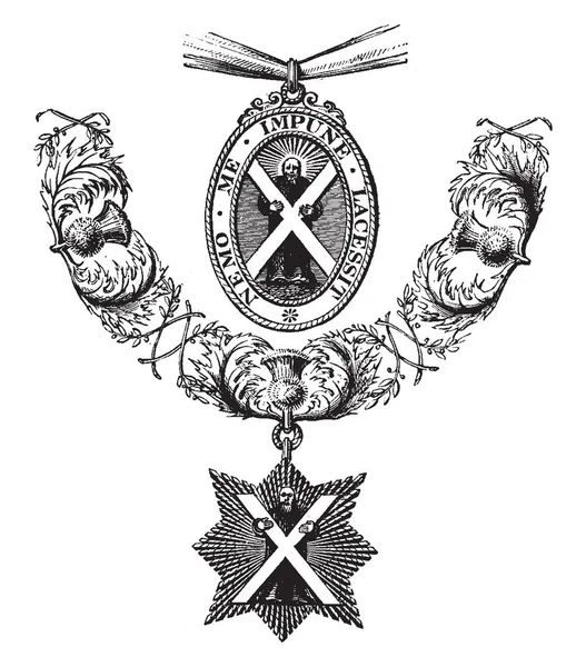 Insignia Orden Del Cardo Está Formado Por Una Figura San — Archivo Imágenes Vectoriales