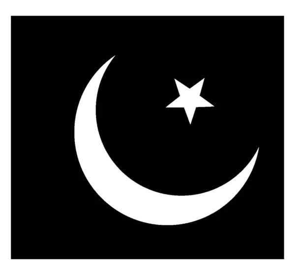 Bayrak Pakistan 2009 Yeşil Renk Bayrak Vinç Tarafında Dikey Bir — Stok Vektör