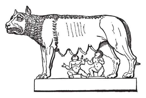 Una Vecchia Statua Del Lupo Capitolino Mitico Lupo Che Nutre — Vettoriale Stock