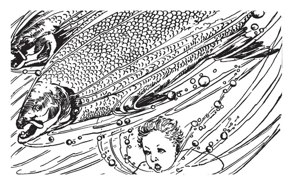 Balık Vintage Çizgi Çizme Veya Oyma Illüstrasyon Çocuk — Stok Vektör