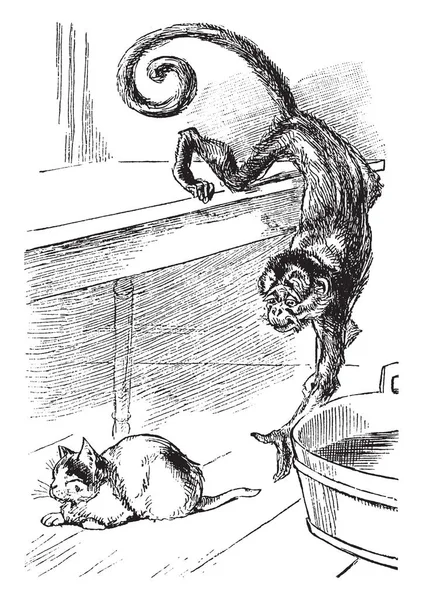 Macaco Gato Onde Macaco Brincando Com Gato Desenho Linha Vintage — Vetor de Stock