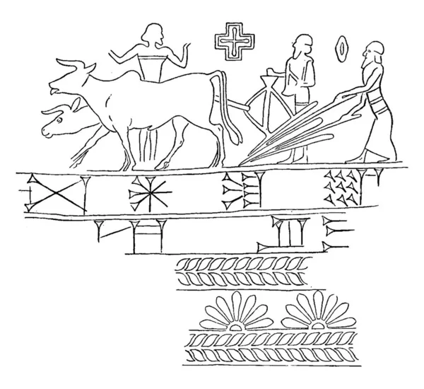 バビロニアのシールの印象の写真は男性耕起播種 ビンテージ ラインの図面やイラストを彫刻 — ストックベクタ