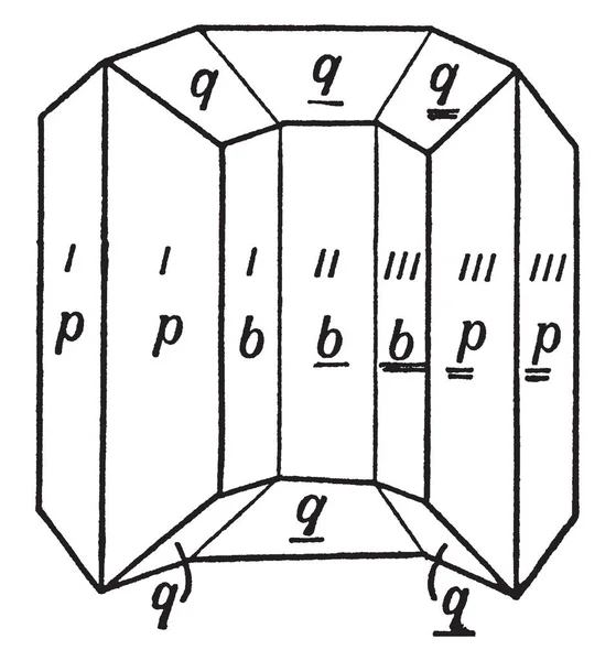 Diagramme Représente Jumelage Cyclique Dessin Ligne Vintage Illustration Gravure — Image vectorielle