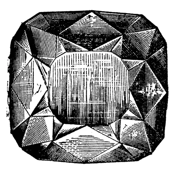 Illustrazione Incisa Epoca Enciclopedia Industriale Lami 1875 — Vettoriale Stock