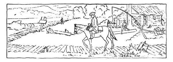 郵便配達のメール ビンテージの線描画や彫刻イラストを提供する馬が起こってください — ストックベクタ