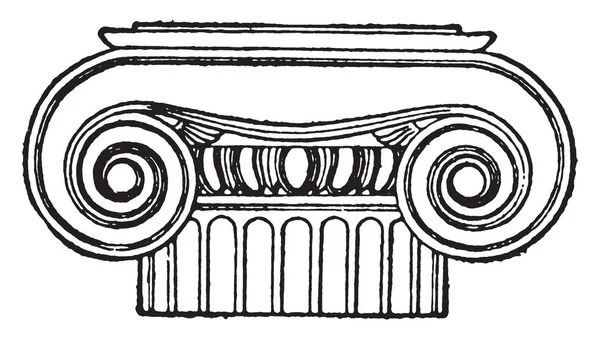 그리스 이오니아 Volutes 일반적으로 기지에 Stylobate 플랫폼 빈티지 드로잉 조각이 — 스톡 벡터
