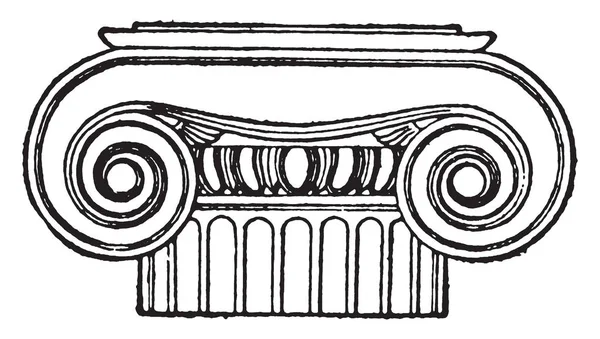 Capital Griega Jónica Uso Volutes Columnas Normalmente Están Paradas Una — Archivo Imágenes Vectoriales