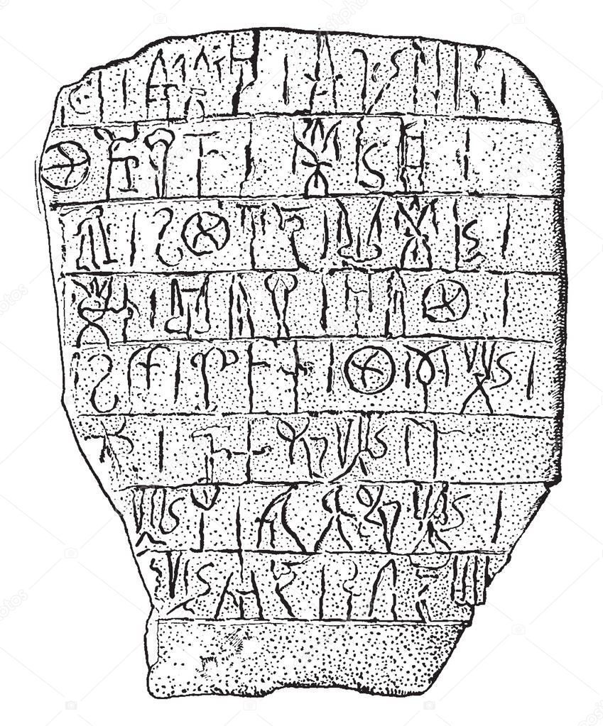 Cretan Writing or linear script, originated in palace, Gnossus, undeciphered hieroglyphs, vintage line drawing or engraving illustration.