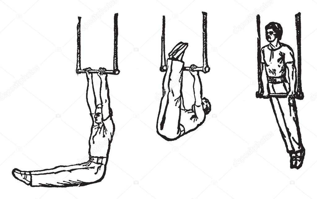 Man swing on a horizontal cross bar hanging by two ropes. It is used by acrobats, vintage line drawing or engraving illustration.