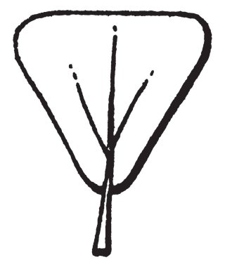 Obpyramidal bir piramit şekli ile geniş sonunda en üstte yer alan, vintage çizgi çizme veya oyma illüstrasyon vardır.