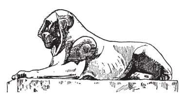 Mısır aslan başkenti Roma, vintage çizgi çizme veya oyma illüstrasyon bulunur.