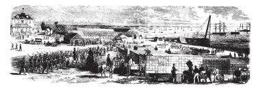 Hilton Head Island U S devlet Güney Carolina, vintage çizgi çizme veya oyma illüstrasyon Lowcountry bölgede bir parçasıdır.