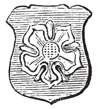 Rose Barbed de gül, vintage çizgi çizme veya oyma illüstrasyon için uygulanır.