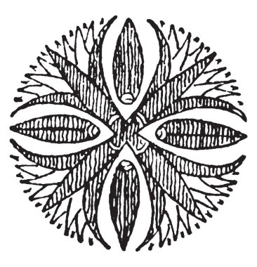 Lotus çiçeği rozet süsleme stilize dört, vintage çizgi çizme veya oyma illüstrasyon inşa edilmiştir vardır.