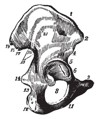 Bu resimde Ilium, vintage çizgi çizme veya oyma illüstrasyon temsil eder..