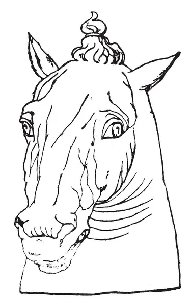 Antica Testa Cavallo Modello Naturale Questo Disegno Disegno Linea Vintage — Vettoriale Stock